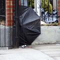 Discarded Umbrella Carcasses, NYC