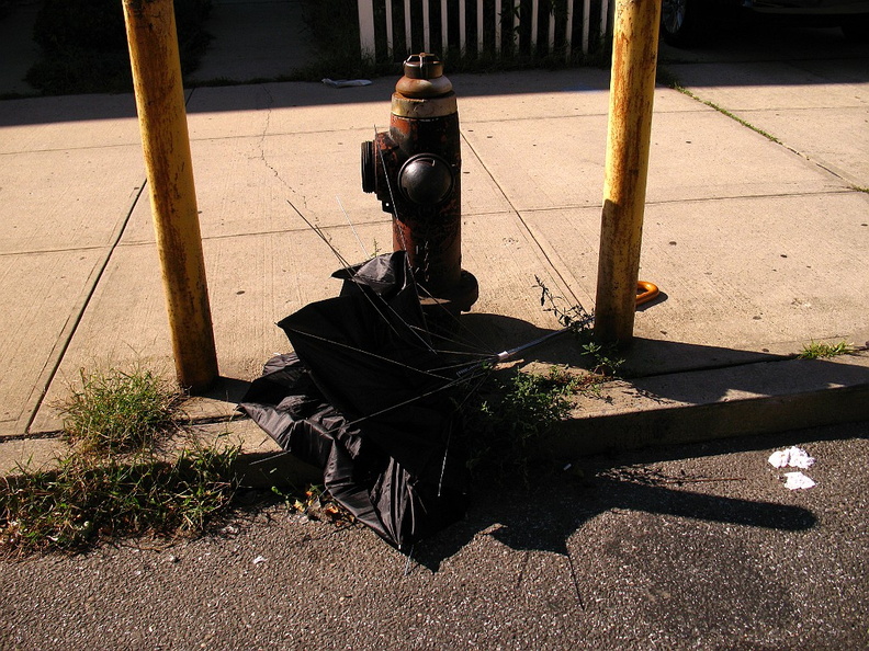 Discarded Umbrella Carcasses, NYC