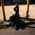 Discarded Umbrella Carcasses, NYC