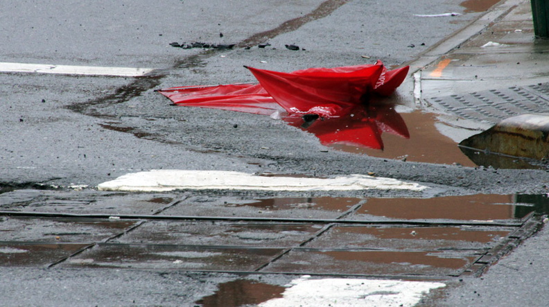 Discarded Umbrella Carcasses, NYC