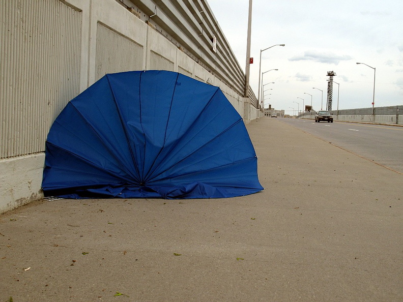 Discarded Umbrella Carcasses, NYC