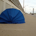 Discarded Umbrella Carcasses, NYC