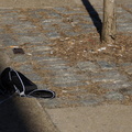 Discarded Umbrella Carcasses, NYC