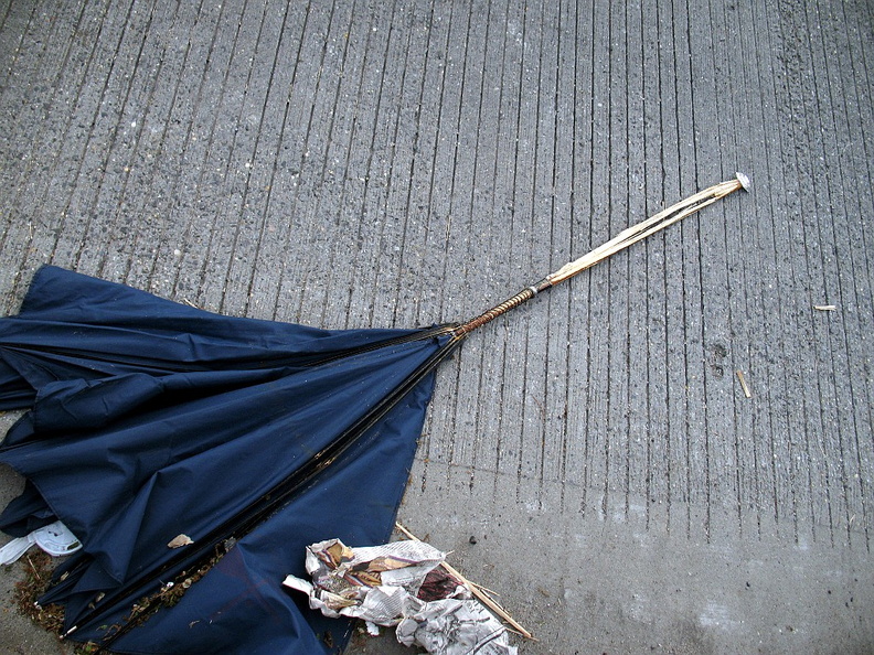 Discarded Umbrella Carcasses, NYC