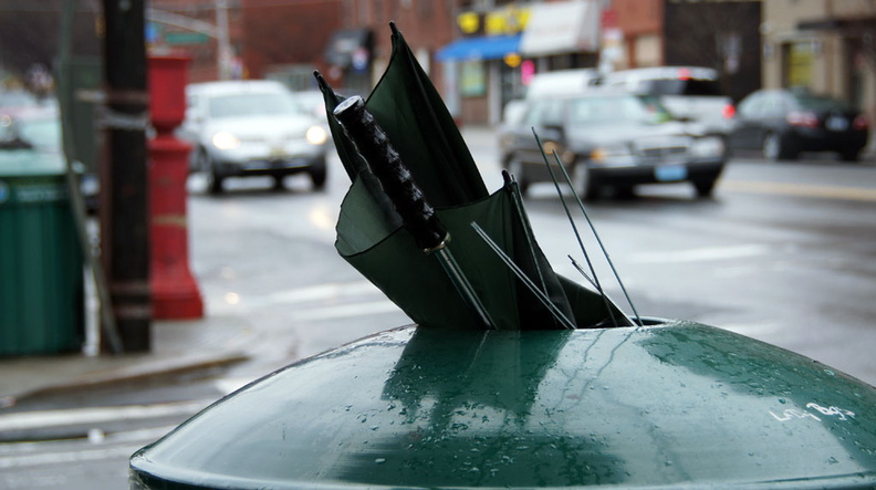 Discarded Umbrella Carcasses, NYC