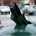 Discarded Umbrella Carcasses, NYC