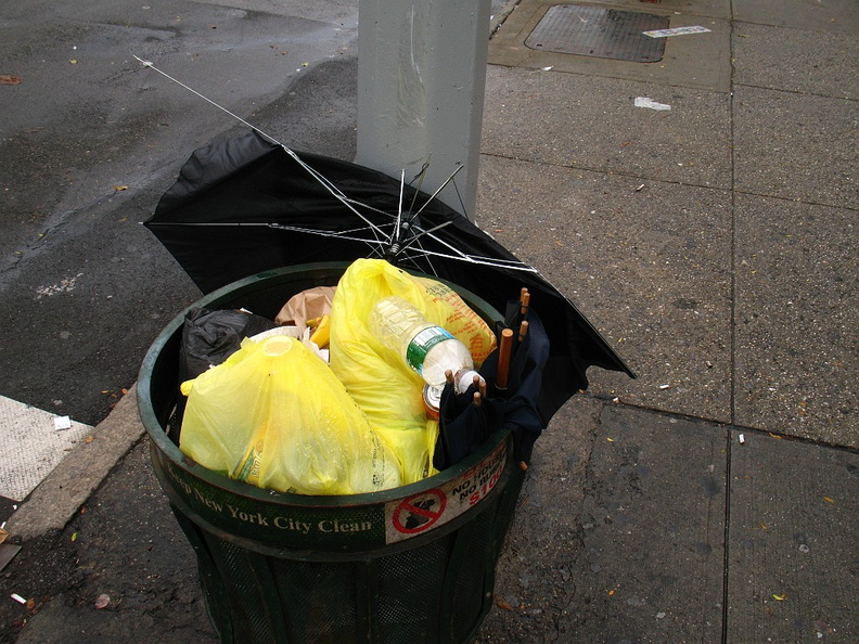 Discarded Umbrella Carcasses, NYC