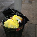 Discarded Umbrella Carcasses, NYC