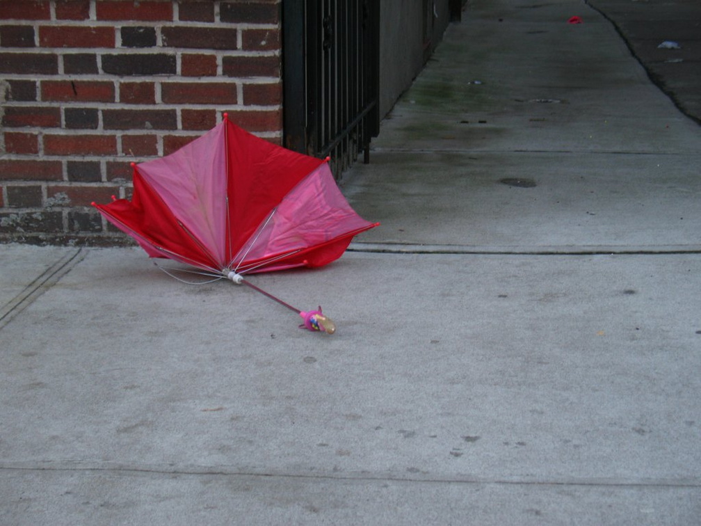 Discarded Umbrella Carcasses, NYC