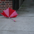 Discarded Umbrella Carcasses, NYC