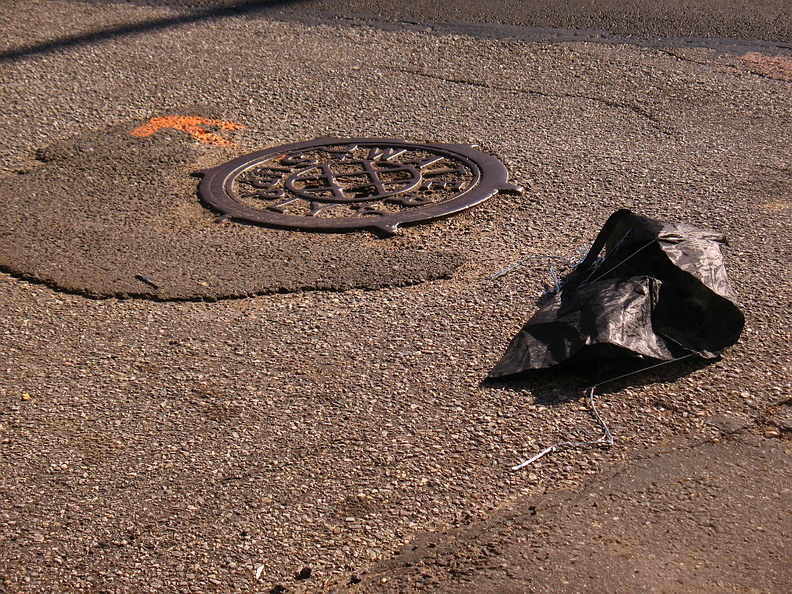 Discarded Umbrella Carcasses, NYC