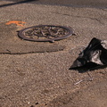 Discarded Umbrella Carcasses, NYC