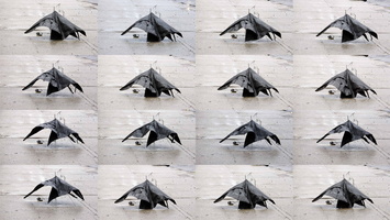 Discarded Umbrella Carcasses, NYC