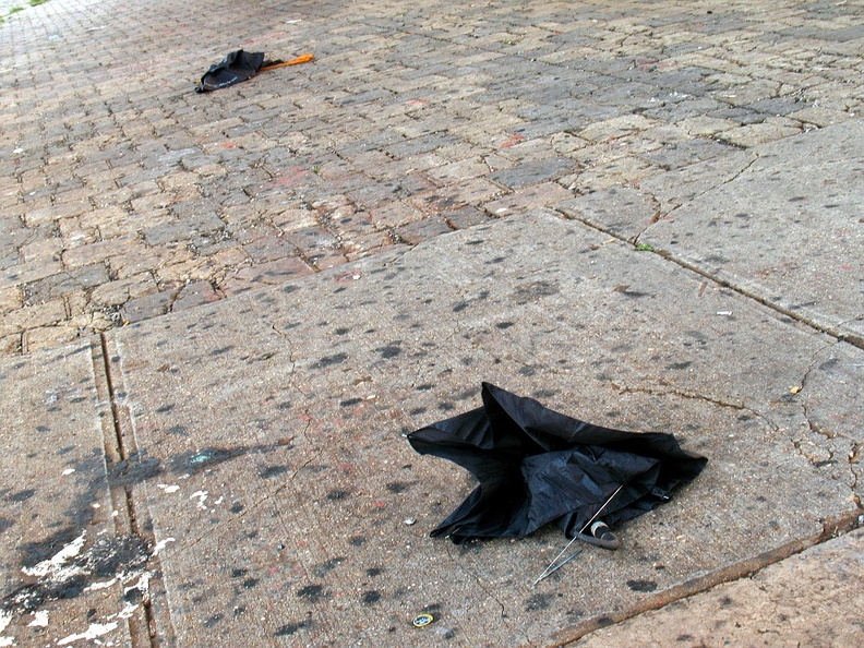 Discarded Umbrella Carcasses, NYC