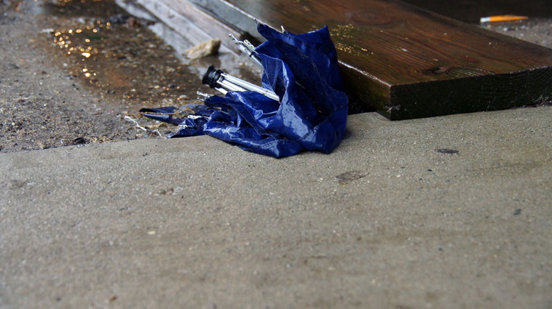 Discarded Umbrella Carcasses, NYC