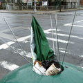 Discarded Umbrella Carcasses, NYC