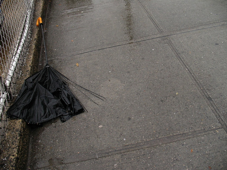 Discarded Umbrella Carcasses, NYC