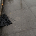 Discarded Umbrella Carcasses, NYC