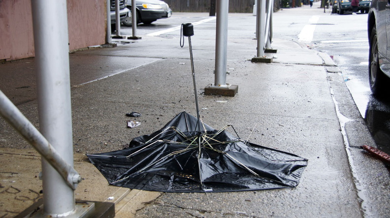 Discarded Umbrella Carcasses, NYC