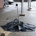 Discarded Umbrella Carcasses, NYC