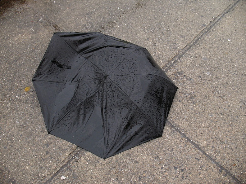 Discarded Umbrella Carcasses, NYC