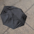 Discarded Umbrella Carcasses, NYC