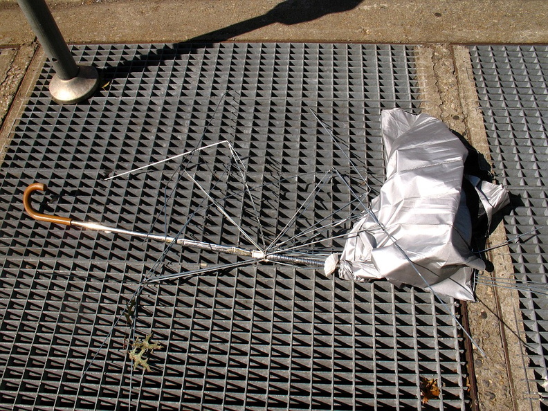 Discarded Umbrella Carcasses, NYC