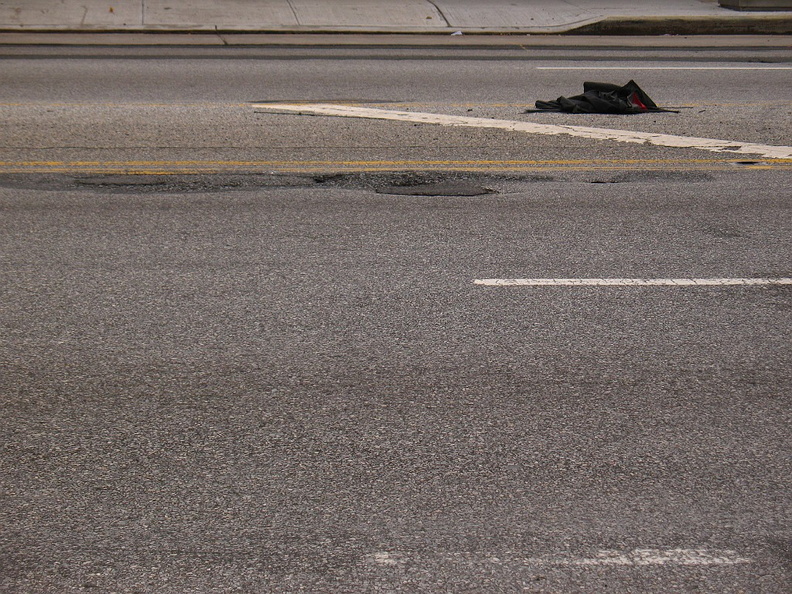 Discarded Umbrella Carcasses, NYC