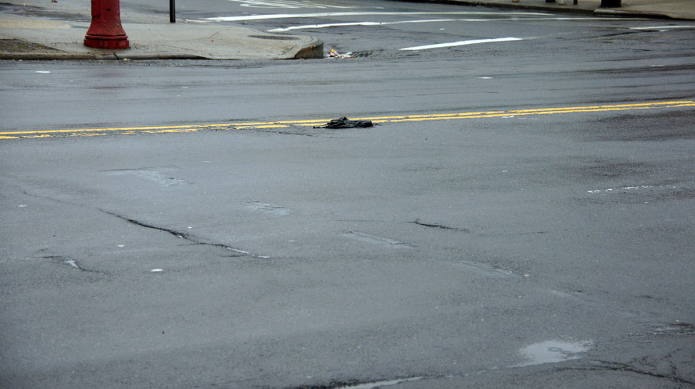 Discarded Umbrella Carcasses, NYC