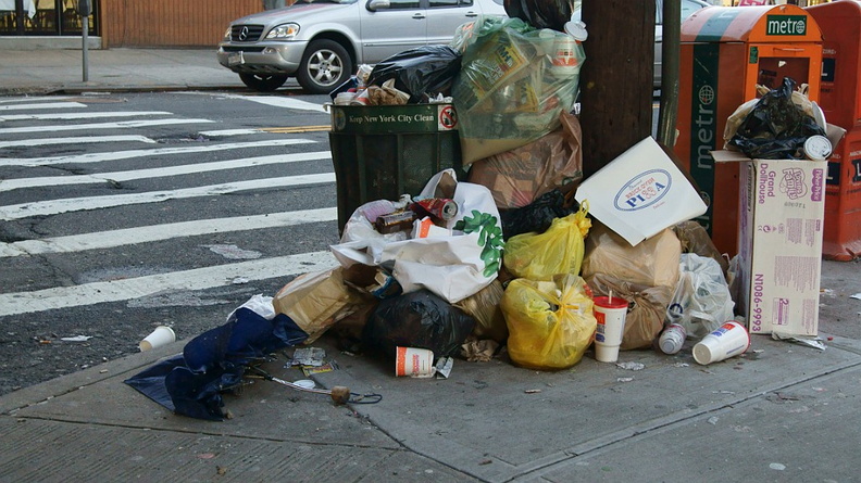 Discarded Umbrella Carcasses, NYC