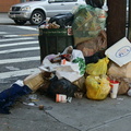 Discarded Umbrella Carcasses, NYC