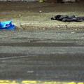 Discarded Umbrella Carcasses, NYC