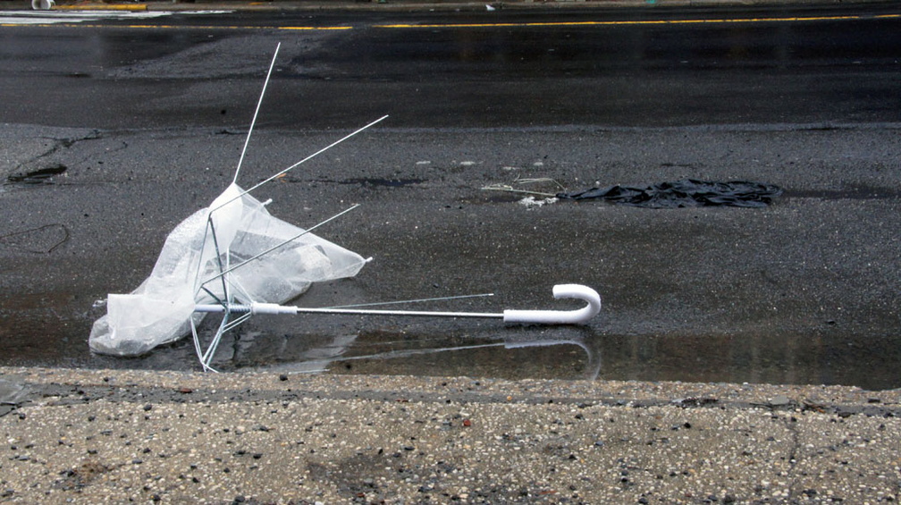 Discarded Umbrella Carcasses, NYC