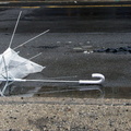 Discarded Umbrella Carcasses, NYC