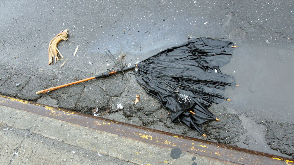 Discarded Umbrella Carcasses, NYC