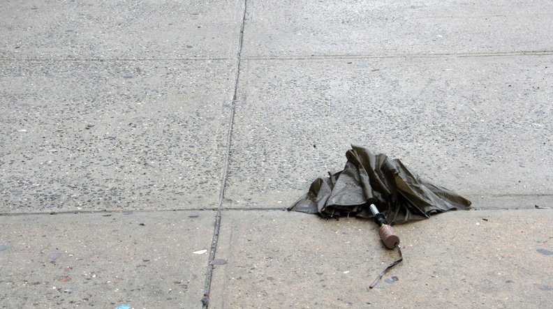 Discarded Umbrella Carcasses, NYC