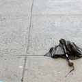 Discarded Umbrella Carcasses, NYC