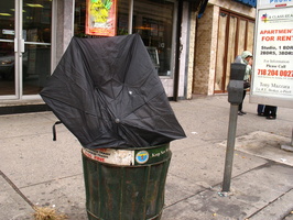 Discarded Umbrella Carcasses, NYC