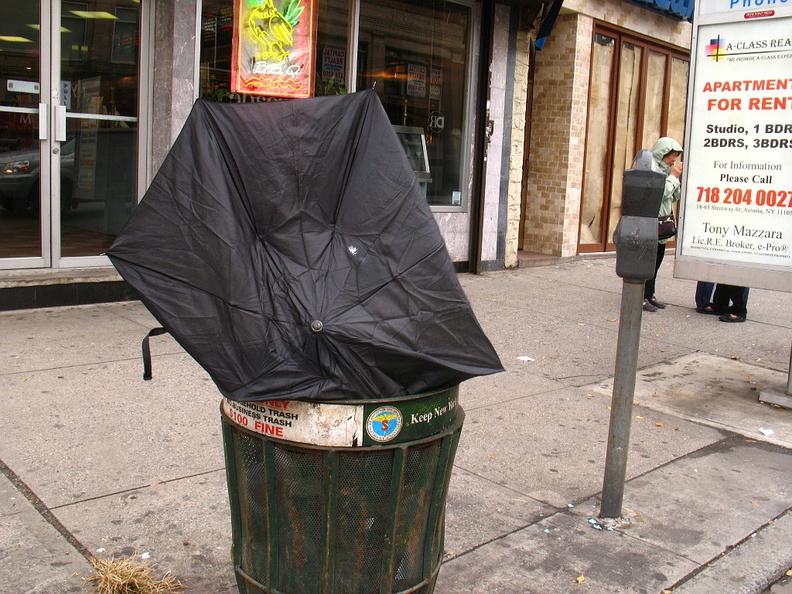 Discarded Umbrella Carcasses, NYC