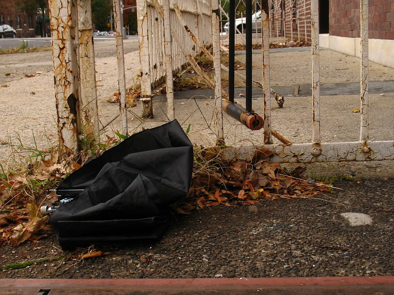 Discarded Umbrella Carcasses, NYC