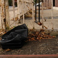 Discarded Umbrella Carcasses, NYC