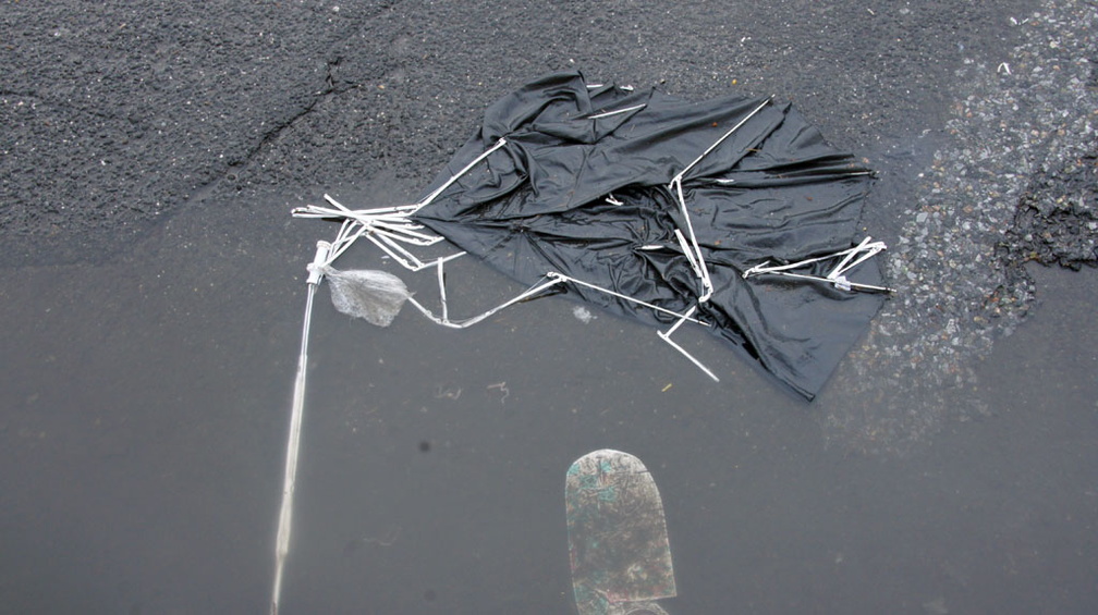 Discarded Umbrella Carcasses, NYC