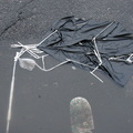 Discarded Umbrella Carcasses, NYC