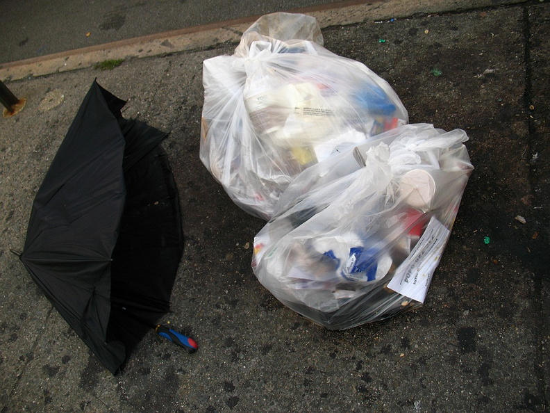 Discarded Umbrella Carcasses, NYC