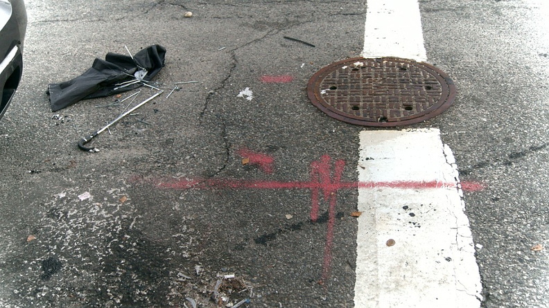 Discarded Umbrella Carcasses, NYC