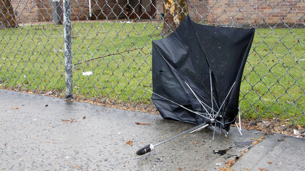 Discarded Umbrella Carcasses, NYC