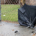 Discarded Umbrella Carcasses, NYC