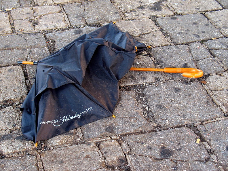 Discarded Umbrella Carcasses, NYC