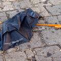 Discarded Umbrella Carcasses, NYC