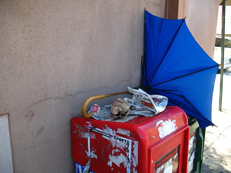 Discarded Umbrella Carcasses, NYC